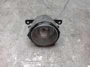 Nebelscheinwerfer rechts FORD TRANSIT V363 (FCD, FDD) 2.0 ECOBLUE RWD 96 KW 2N11-15201-AB