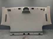 Himmel VW CADDY IV KASTEN 2K,SA) 2.0 TDI 75 KW 2K0867501CC