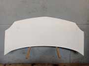 Motorhaube Haube RENAULT KANGOO/GRAND KANGOO (KW0/1) 1.5 DCI 50 KW
