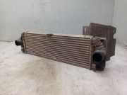 Ladeluftkühler MERCEDES SPRINTER 3-T KASTEN W906 216 CDI 120 KW A9065010201
