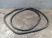 Dichtung Türrahmen Einstieg vorne rechts FORD TRANSIT V363 KASTEN 2.0 TDCI RWD 77 KW BK31-V20708-CA