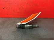 Einspritzdüse Audi A6 Avant 4G, C7 1079036N