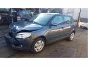 Türscheibe links vorne Skoda Fabia II 542 43R001057