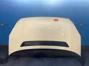 Motorhaube VW Crafter 30-50 Fahrgestell 2F