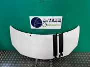 Motorhaube Renault Twingo II CN0
