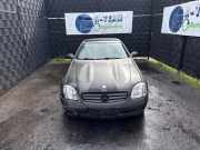 Außenspiegel links Mercedes-Benz SLK R170 A1708100176