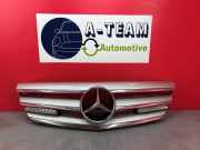 Kühlergrill Mercedes-Benz B-Klasse Sports Tourer W245 A1698800883
