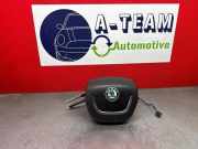 Airbag Fahrer Skoda Fabia II 542 1Z0880201AK