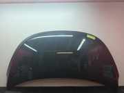 Motorhaube Hyundai i10 PA 664000X020