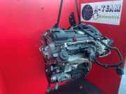 Motor ohne Anbauteile (Benzin) VW Golf V Plus 5M, 521 03C100091HX