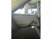 Türverkleidung links hinten Tesla Model 3 5YJ3