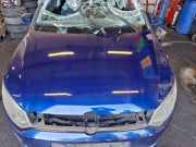 Motorhaube VW Polo V 6R, 6C 6R0823031G