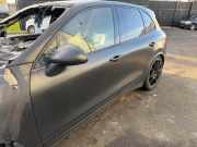 Tür links vorne Porsche Cayenne 2 92A 95853101100GRV