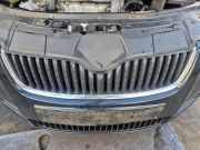 Kühlergrill Skoda Fabia II 542 5J0853668A9B9