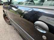 Tür links Peugeot 206+ T3E