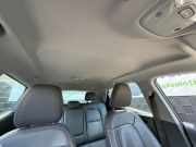 Verkleidung Dachrahmen Opel Ampera-E F17