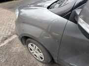 Kotflügel links vorne Fiat Doblo Kasten 263 0051973882