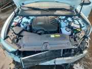 Lambdasonde Audi A6 4A, C8 8W0906265AP