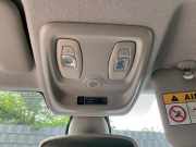 Innenleuchte Renault Clio IV BH