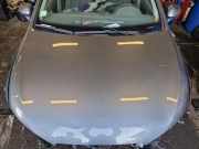 Motorhaube Seat Ibiza IV ST 6J 6J0823031E