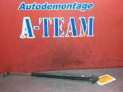 Heckklappendämpfer links Mitsubishi Grandis NA0W