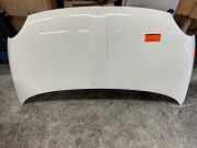 Motorhaube Fiat 500 312