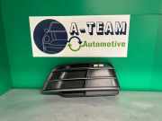 Kühlergrill links Audi Q5 FY 80A807245B