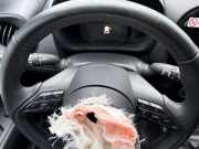 Lenkstockschalter Toyota Aygo X B7 8432902020