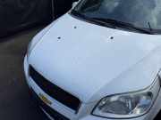 Motorhaube Chevrolet Aveo Schrägheck T200, T250 95164301