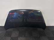 Motorhaube Kia Picanto 2 TA 664001Y010