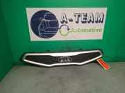 Kühlergrill Kia Picanto 2 TA 863511Y000