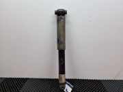 Stoßdämpfer links hinten Ford Transit V363 Kasten FCD, FDD FK3118080FA