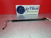 Heckklappendämpfer links Ford C-Max II DXA AM51R404C85AG