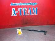 Gasdruckfeder Tesla Model S 5YJS 106263400A