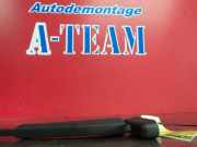 Wischerarm hinten Renault Twingo II CN0