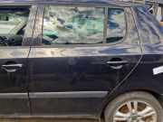 Tür links hinten Skoda Fabia II 542 5J6833055