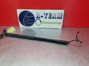 Heckklappendämpfer rechts Ford C-Max II DXA AM51R404C84AG