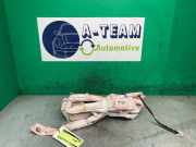 Airbag Dach links Tesla Model S 5YJS 100526100E