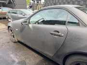 Tür links Mercedes-Benz SLK R170 A1707200109