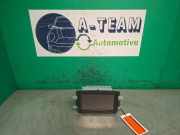 Multifunktionsanzeige Dacia Lodgy JS 281153855R