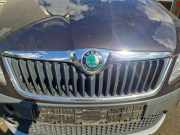 Kühlergrill Skoda Roomster 5J 5J0853668C9B9