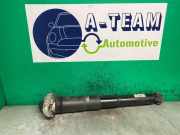 Stoßdämpfer rechts hinten Skoda Enyaq iV 5AZ 1EA512013AE