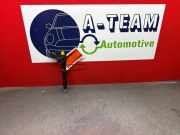 Einspritzdüse Volvo V70 III 135 31336878