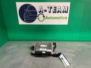 Steuergerät für Einspritzanlage Kia Niro I DE 391B503DE4