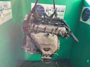 Motor ohne Anbauteile (Benzin) VW Polo IV 9N, 9A 036100038B