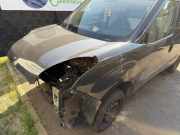 Motorhaube Fiat Doblo Kasten 263 0051810378