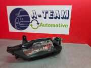 Nebelscheinwerfer links vorne Opel Insignia B Sports Tourer Z18 13460223