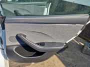 Türverkleidung rechts hinten Tesla Model 3 5YJ3