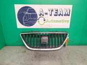 Kühlergrill Seat Ibiza IV 6J 6J0853651