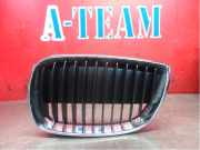 Kühlergrill links BMW 1er E87 22405910